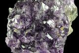 Purple Amethyst Cluster - Uruguay #66750-4